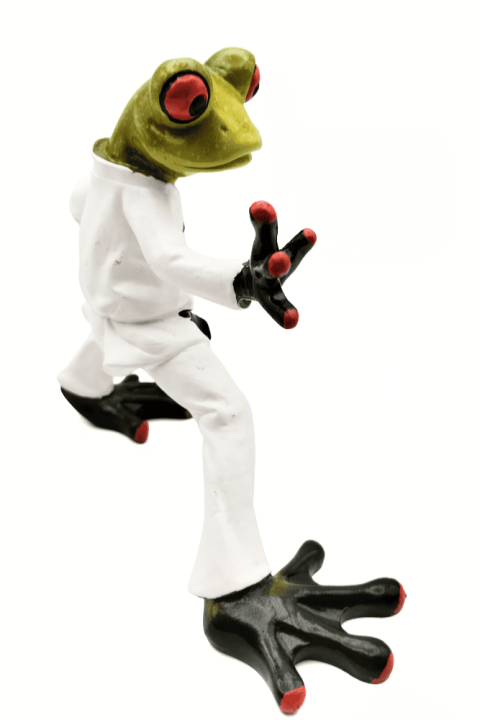 Zabawna dekoracja do salonu – figurka żaby karate, która ożywi każdą aranżację