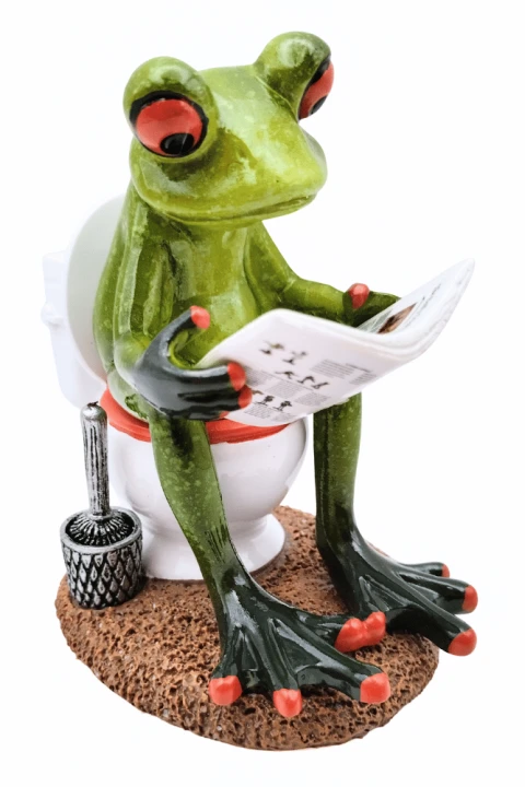 Figurka żaba z gazetą na toalecie z chodniczkiem.png