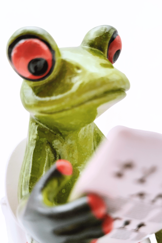 Figurka żaba z gazetą na toalecie z chodniczkiem1.png