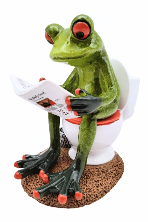 Figurka żaba z gazetą na toalecie z chodniczkiem2.png