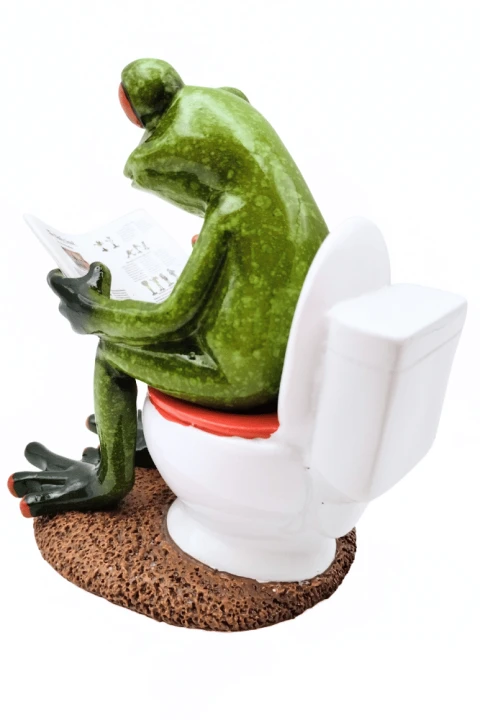 Figurka żaba z gazetą na toalecie z chodniczkiem3.png