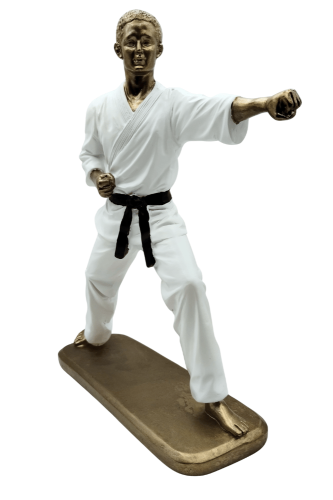 Karateka.png