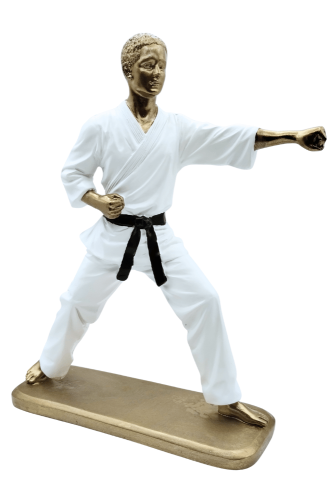 Karateka1.png