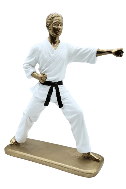 Karateka1.png