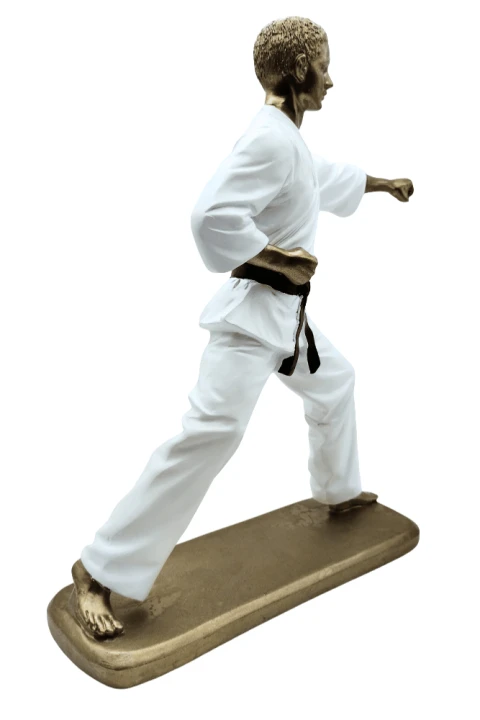Karateka2.png
