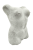 Wazon korpus kobiety.png